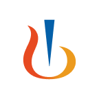 NVS logo